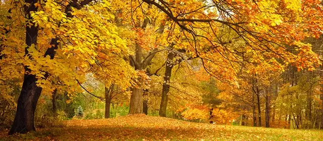 Oroscopo del Lunedi 10 Novembre 2025