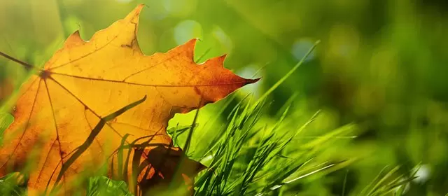 Oroscopo del Martedì 11 Novembre 2025