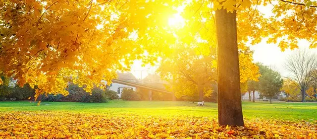 Oroscopo del Mercoledì 12 Novembre 2025