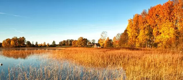 Oroscopo del Giovedi 13 Novembre 2025