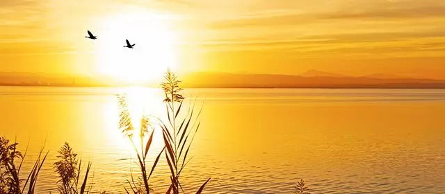 Oroscopo del Venerdì 14 Novembre 2025