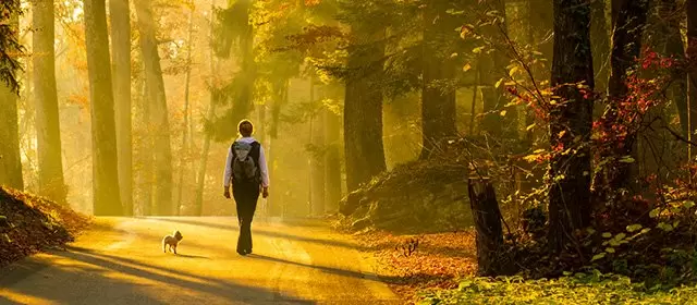 Oroscopo del Lunedi 17 Novembre 2025