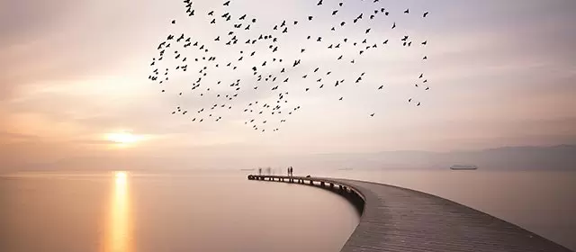 Oroscopo del Giovedi 20 Novembre 2025