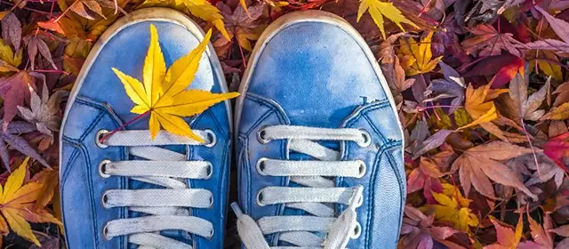 Oroscopo del Venerdì 21 Novembre 2025