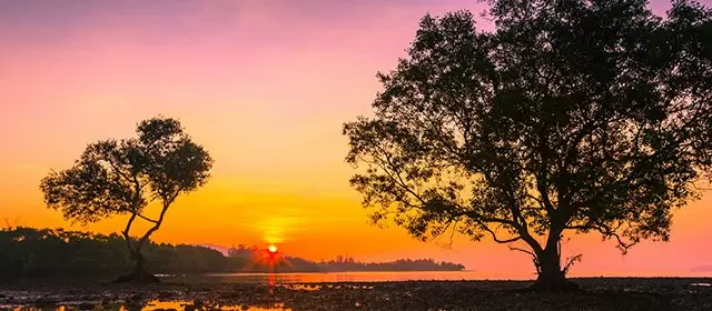 Oroscopo del Sabato 22 Novembre 2025