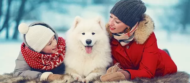 Oroscopo del Domenica 14 Dicembre 2025