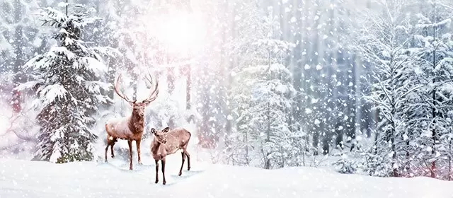 Oroscopo del Mercoledì 17 Dicembre 2025