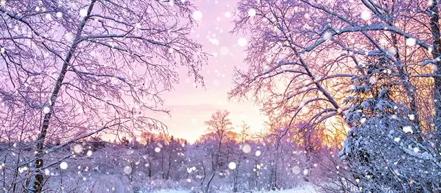 Oroscopo del  Lunedi 22 Dicembre 2025