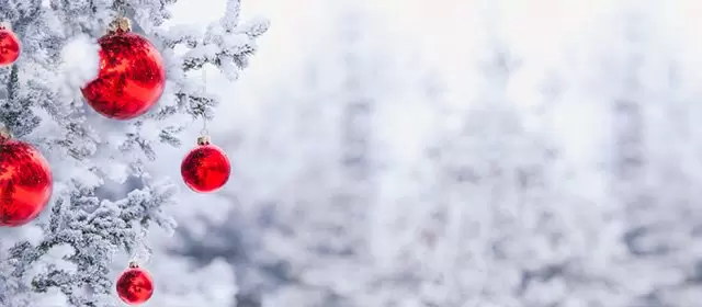 Oroscopo del Martedì 23 Dicembre 2025